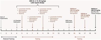 Effects of acute cannabidiol on behavior and the endocannabinoid system in HIV-1 Tat transgenic female and male mice